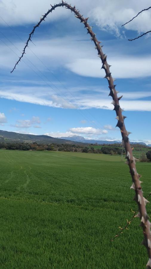 Apartamento Vut Manypi Vu-Huesca-21-024 La Puebla De Castro 外观 照片